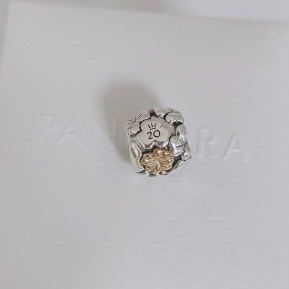 Pandora 2020 Limited Edition Four-leaf Clover Charm S925 Silver with box - Picture 4 of 8